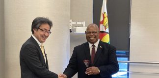 zim-set-to-benefit-from-japan-development-experiences