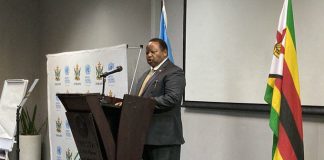 zim-committed-to-implementing-objectives-of-the-summit-of-the-future-minister-shava