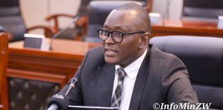 zim-sets-up-new-drug-and-substance-elimination-agency-2