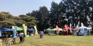 connect-wellness-day