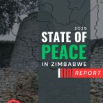 ZimRights calls for non-violence for a peaceful society