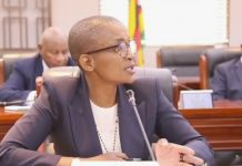 Zim to host United Nations Tourism High-Level Meetings in Vic Falls