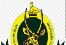 ZimParks to celebrate UN World Wildlife Day