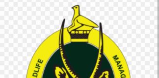 ZimParks to celebrate UN World Wildlife Day