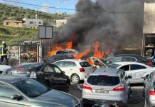 Palestine condemns organised settler terrorism in West Bank