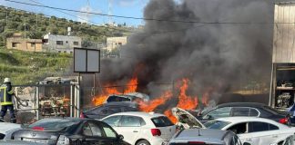Palestine condemns organised settler terrorism in West Bank