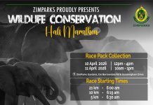 ZimParks launches inaugural wildlife conservation and wellness half-marathon