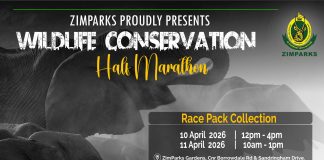 ZimParks launches inaugural wildlife conservation and wellness half-marathon