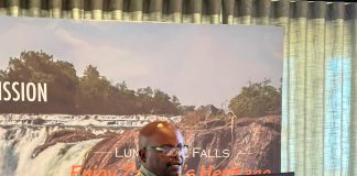 Heritage can drive entrepreneurship and community development-ZimParks