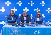 Home-grown innovations key to strengthening Zimbabwe’s healthcare system-Ndlovu