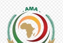 African Medicines Agency, Medicines for Africa join forces to protect patients from unsafe medicines across Africa