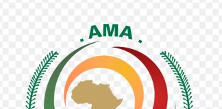 African Medicines Agency, Medicines for Africa join forces to protect patients from unsafe medicines across Africa