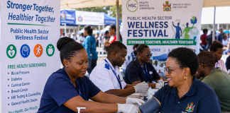 Gweru hosts free health screenings as HSC launches National Wellness Festival