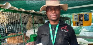 Hoja Rabbits celebrates six awards at agric show