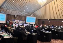 “Health regulation must not become a bottleneck”