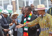 Chadzamira, Rwodzi impress President Mnangagwa