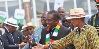 Chadzamira, Rwodzi impress President Mnangagwa