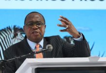 Tourism receipts hit US$537m as sector attracts US$132m in six months