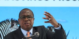 Tourism receipts hit US$537m as sector attracts US$132m in six months