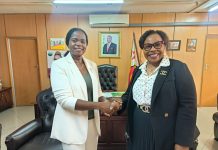 UN Women commends Zimbabwe’s gender equality framework