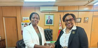 UN Women commends Zimbabwe’s gender equality framework