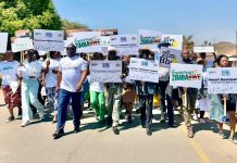 Zim embraces AI to boost tourism