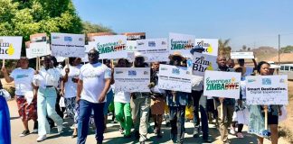 Zim embraces AI to boost tourism