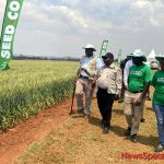 Zim must now focus on better wheat varieties-Jiri