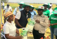 Yummy Organic Foods champions value addition