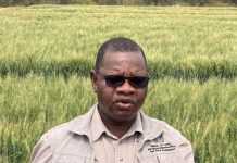 Jiri warns agro-terrorists over fake seed