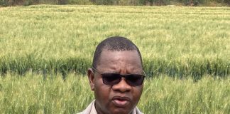 Jiri warns agro-terrorists over fake seed