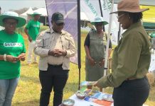 Farmers urged to embrace green energy