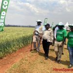 Zim must now focus on better wheat varieties-Jiri