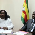 Everyone has a role to play in ending intimate partner violence: ZGC