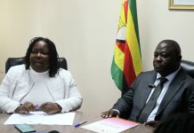 Everyone has a role to play in ending intimate partner violence: ZGC