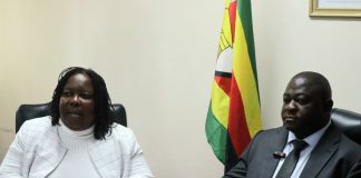 Everyone has a role to play in ending intimate partner violence: ZGC