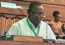 ZHRC calls for stronger oversight of mining activities