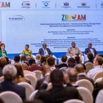 Zimbabwe, Zambia seek investment to accelerate energy projects