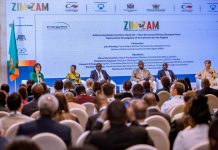 Zimbabwe, Zambia seek investment to accelerate energy projects