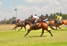 Six races headline inaugural ZimBho Purple Bloom event