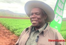 Hands-on approach key to successful farming: Sahwira