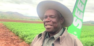 Hands-on approach key to successful farming: Sahwira