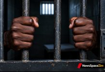 Chief Chireya nabbed, remanded in custody over murder